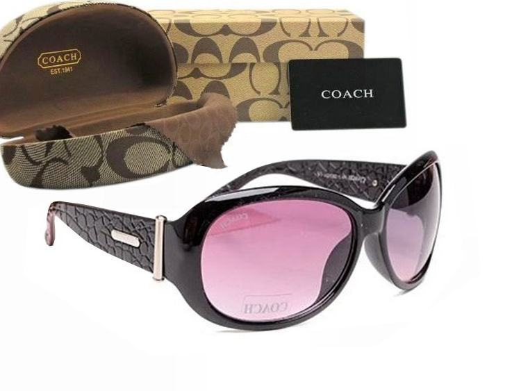 Coach Sunglasses 8004